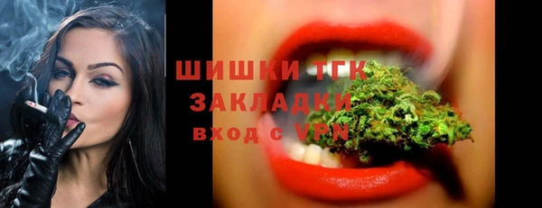 стаф Волосово