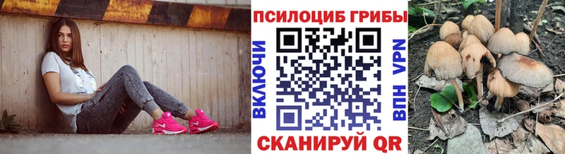 Псилоцибиновые грибы прущие грибы  Купить где  Бронницы 